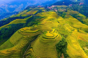 徒个中国•广西丨金黄龙脊梯田、桂林漓江、遇龙河徒步漂流