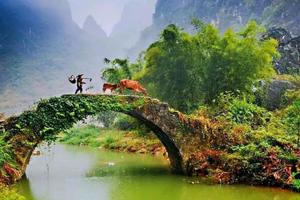 2天活动｜小桂林-英西峰林徒步、探索神秘千年瑶寨、观瑶族特色表演二日游