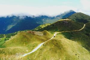 1天活动｜【惠东大南山】高山草甸，行走于云端天际间，邂逅金色芦苇荡！