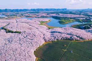 又见樱花 | 贵州花季小众秘境4天3晚山地徒步旅行
