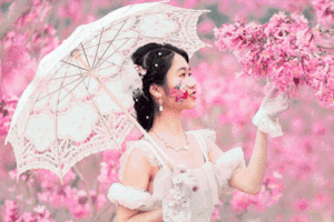 1天活动｜打卡江门网红紫花风铃木基地，行摄蒲葵林走进童话世界