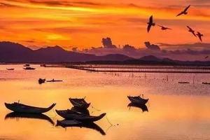 2天活动｜盐洲岛红树林渔船出海打渔观白鹭纷飞、渔舟唱晚、黑排角彩石滩美拍、美味烧烤、篝火晚会、海滨温泉、越野车