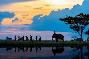 徒个中国•云南丨西双版纳原始热带雨林徒步