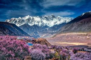 大美川藏10天丨林芝桃花+金川梨花+甲居藏寨+墨石公园+然乌湖+米堆冰川+南迦巴瓦峰+雅鲁藏布大峡谷