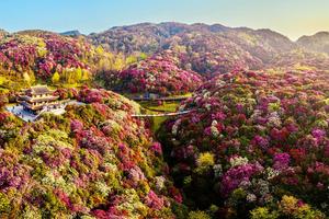 徒个中国•贵州｜苗岭山脉穿越+杜鹃花海穿越+茂兰森林穿越+小七孔徒步