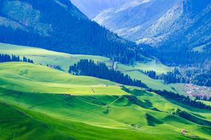 徒个中国•新疆｜9天8晚，一次走完伊犁醉美5大草原！