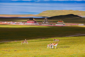 问水•三江源｜“两湖一碑”—尕朵觉沃＆阿尼玛卿神山—冬格措纳湖—星星海8日探秘之旅！