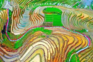 3天高铁｜2023龙脊梯田一年一度的民族节日“梳秧节”，体验少数民族风情