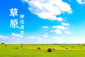 徒个中国•内蒙古丨呼伦贝尔大草原+大兴安岭原始森林徒步