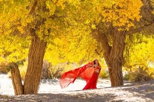 额济纳•高铁A线6日丨9-10月额济纳胡杨林-弱水金沙湾-黑城怪树林-沙漠日落-居延海-金塔胡杨林