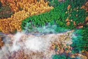 徒个中国•吉林｜徒步吉林长白山彩林、登天池之巅