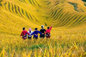 金秋龙脊｜桂林龙脊梯田平安寨—大寨16公里深度徒步穿越