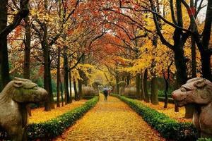 徒个中国•江苏｜探索金陵城，走进梦里水乡，赏江苏醉美秋色！