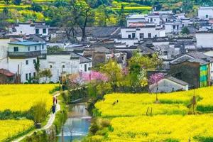 徒个中国•江西｜徒步婺源乡村古道，赏中国最美乡村油菜花！