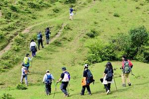 赴一场花海之约，鸡笼顶草原徒步、赏高山杜鹃花海、打卡“粤西小武功山、春湾风景区