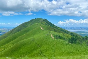 港版武功山丨香港草原鸡公岭徒步，吹微凉的风，看云肆意欢腾！
