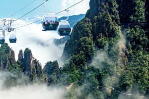 端午3天丨郴州莽山五指峰云海栈道+高椅岭+白廊/小东江