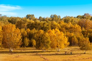 徒步华夏•内蒙古｜乌兰布统草原徒步，52Km穿越草原精华段