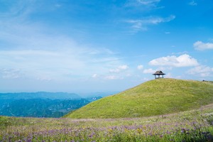 云上花海 | 2024贵州韭菜坪6天5晚徒步旅行