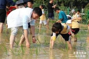 亲子营│网红小火车、丛林穿越、彩虹滑道、水上拓展、插秧、捉泥鳅...