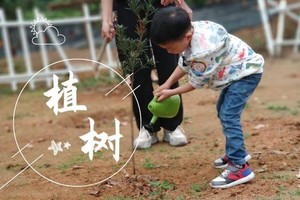 亲子营│深圳亲子植树/赏花/挖马蹄/打地鼠/皮划艇/溜索...