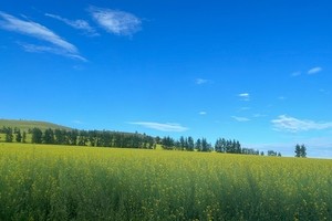 内蒙亲子营│呼伦贝尔大草原亲子旅行，7天深度体验草原生活文化