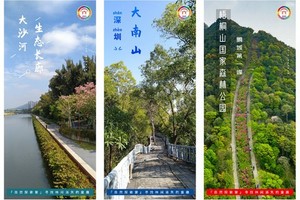 『自然探索营』｜在山林花草中，让自然的美点亮童年的光！