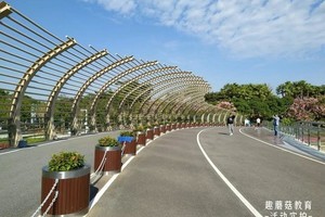 『自然探索营』深圳湾站｜海滨栈道16Km徒步、看海、观鸟！