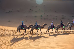 「宁蒙少年」宁夏&腾格里沙漠6天5晚亲子研学之旅