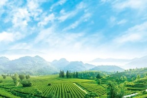 10月26日丨2024年第二届英德仙湖红茶谷18公里徒步