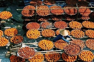 11月9-10日丨2024桂林恭城月柿节暨漓江16公里徒步节