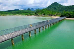 11月17日｜广东100公里第五站•仙湖20公里徒步活动