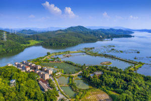 12月1日｜2024年第十届惠州30公里徒步活动