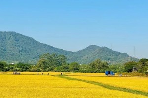 大型活动｜2024全国群众登山健身大会•广州从化站暨“香港赛马会”户外运动季