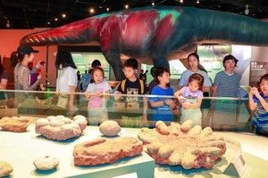 成都历史亲子营｜探秘成都三星伴月，大话古今人物，遇见亚洲恐龙&国宝熊猫  