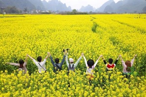 徒步赏花丨桂林阳朔遇龙河油菜花20公里徒步活动