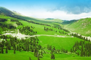 「新疆亲子营」那拉提+赛里木湖+独库公路+夏塔+喀赞其+木扎尔特冰川...