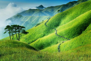 「武功山休闲游」五一/端午，打卡长沙美食、邂逅云中草原，户外天堂•江西武功山