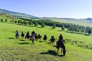世界四大草原之一「呼伦贝尔草原」6天5晚亲子营