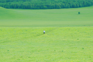 乌兰布统•云上野奢亲子营丨被上帝私藏的油画天堂，夏天去真的太美了！