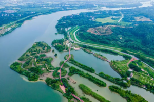6月22日「广东100第三站•增江画廊」竹林榄树-江景绿道-莲塘荷花