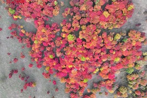 徒个中国•吉林丨徒步长白山，邂逅天池，看北国极致秋色