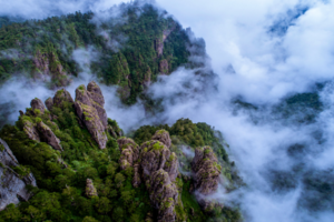 神农仙境丨第11届中探联神农架国际登山徒步大会，带你寻觅野人踪迹！