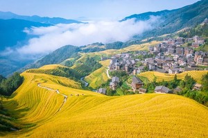 金秋龙脊丨桂林龙脊梯田平安寨-大寨16公里深度徒步穿越