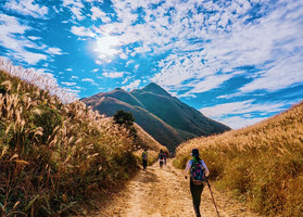 惠州大南山大草坡穿越、漫山遍野芦苇荡下摄影、云中漫步斧头石、山野徒步登山