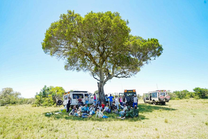 肯尼亚•自然探索营丨科学大咖带队&研学PBL课程/肯尼亚国家博物馆&专属中文营地