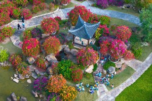 11月30日丨广东100第五站•马岭观花，花都云上草原花海14公里徒步大会