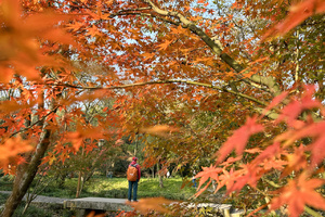 徒个中国•浙江丨徒步华东户外圣地，莫干山、马岭古道、乌镇...