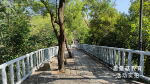 「自然探索营」深圳大南山站，徒步登山，探索自然，增强野外技能！