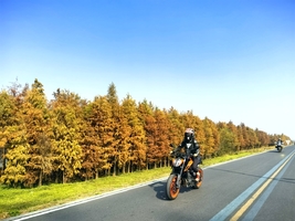 2月8日丨广东顺德「伦教站」百里芳华•红杉秘境寻踪13Km徒步活动